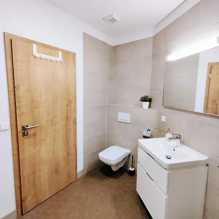 Apartment Kralova Vysina *